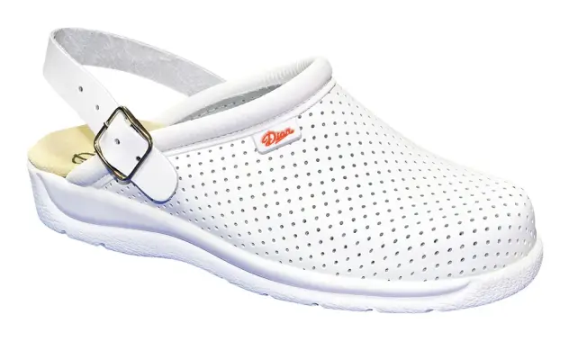 Produit Sabots médicaux cuir perforés Pisa Correa Image