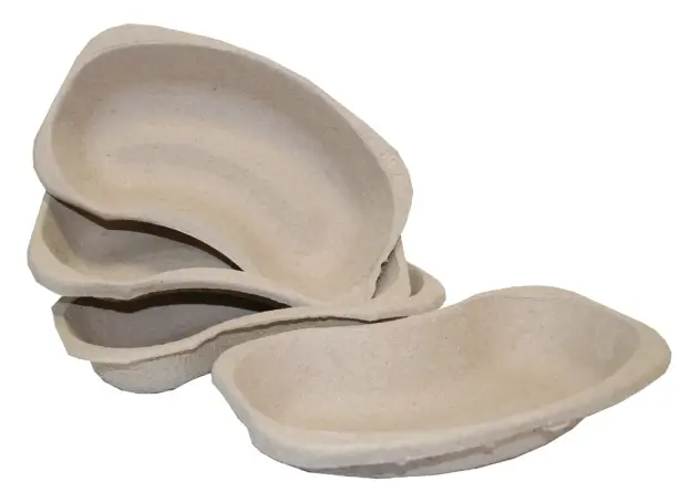 Produit Récipient haricot en carton Image