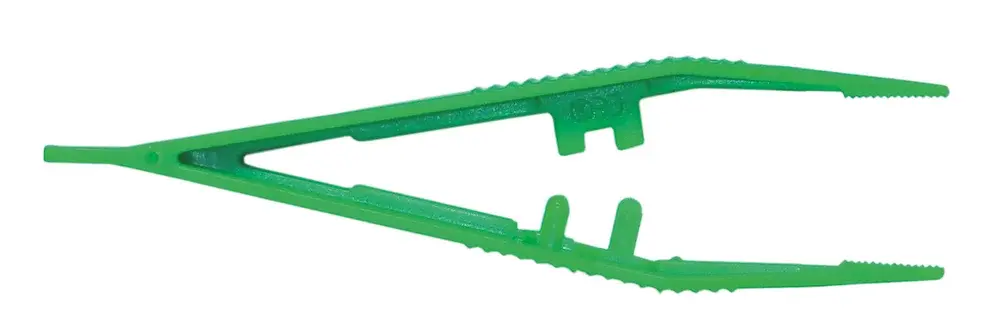 Pince chirurgicale anatomique