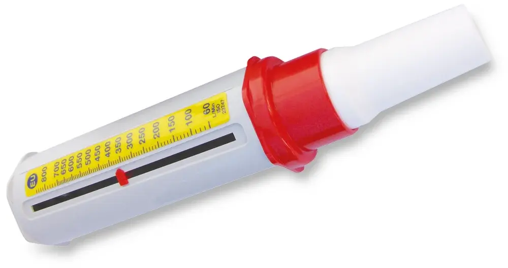 Débitmètre de pointe Peak Flow Mini Wright