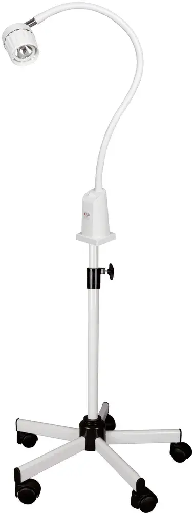 Lampe d'examen halogène Tina 20 W