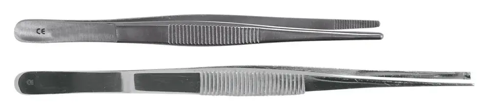 Pince à disséquer