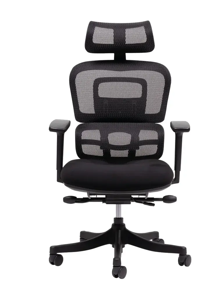 Chaise de bureau ergonomique