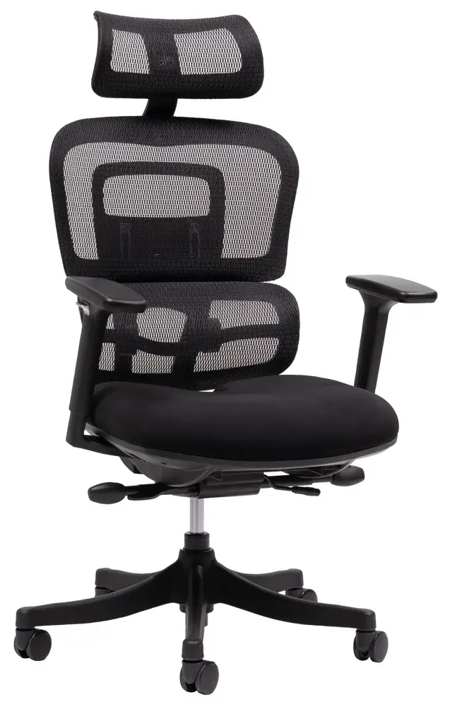 Chaise de bureau ergonomique