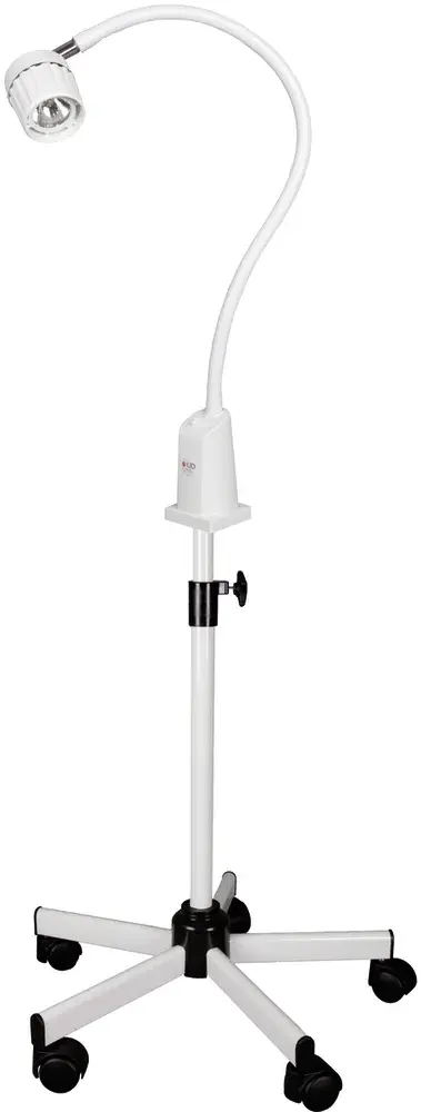Lampe d'examen halogène Tina 20 W