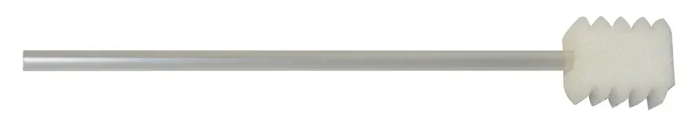 Bâtonnet soin des dents mousse à dent