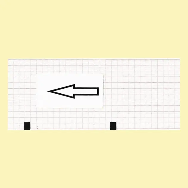 Produit Papier ECG Fukuda Denshi Image