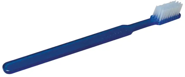 Produit Brosse a dent jetable avec dentifrice Image