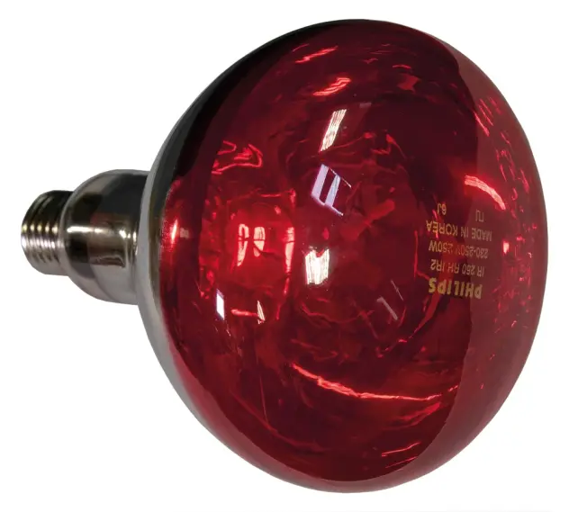 Produit Ampoule pour lampe infrarouge Thera 250 W Image