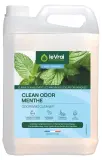 Vignette - Nettoyant clean odor menthe