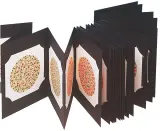 Vignette - Album test d'Ishihara