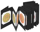 Vignette - Album test d'Ishihara