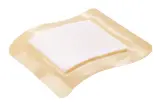 Vignette - Pansement absorbant Suprasorb® P