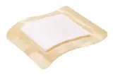 Vignette - Pansement absorbant Suprasorb® P
