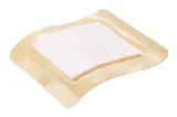Vignette - Pansement absorbant Suprasorb® P
